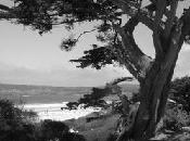 Northern California Seascape
